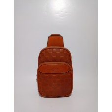 Louis Vuitton bodybag