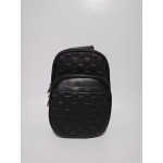 Louis Vuitton bodybag