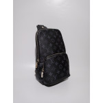 Louis Vuitton Avenue sling 